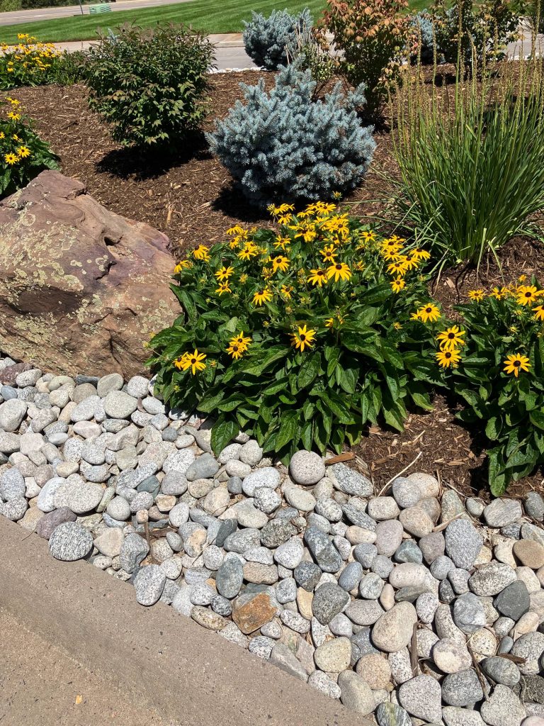 Xeriscaping Planning and Design