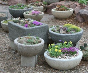 Xeriscape planting