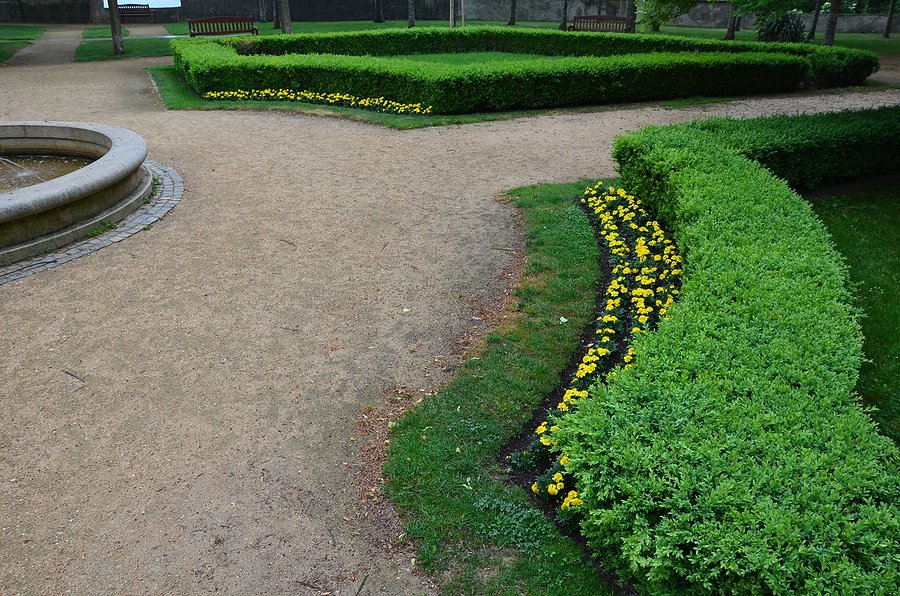 Xeriscape path denver co