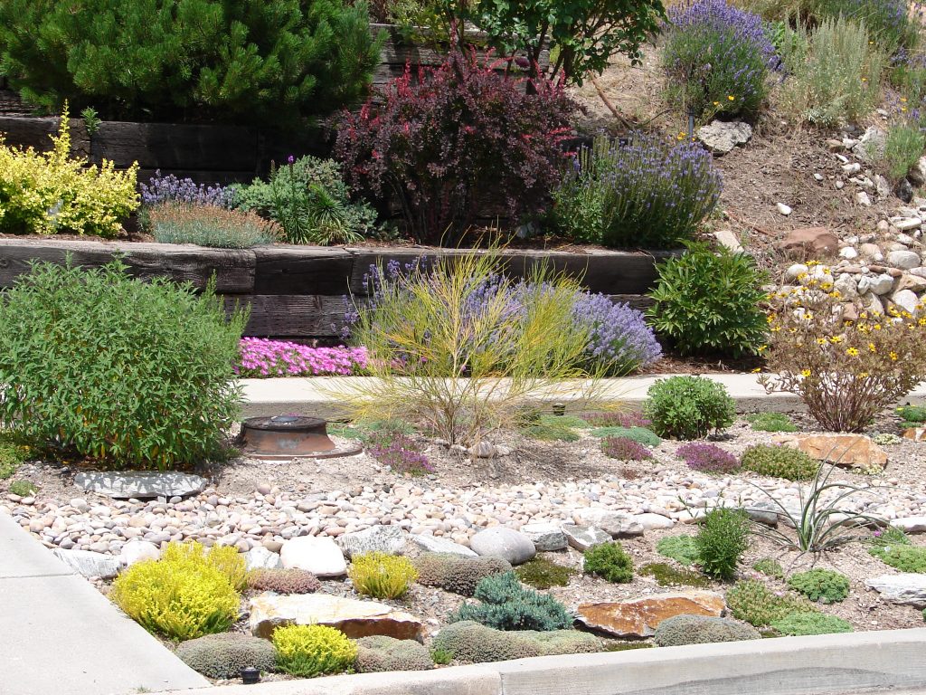 Xeriscape Rock Garden in Denver Co