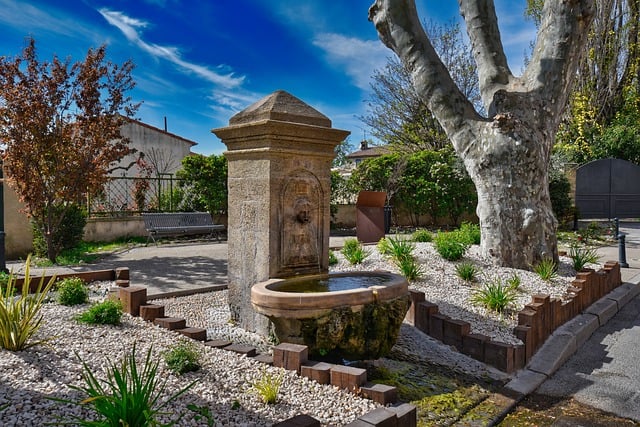 backyard landscaping denver co