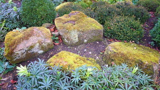 rocks landscaping denver co