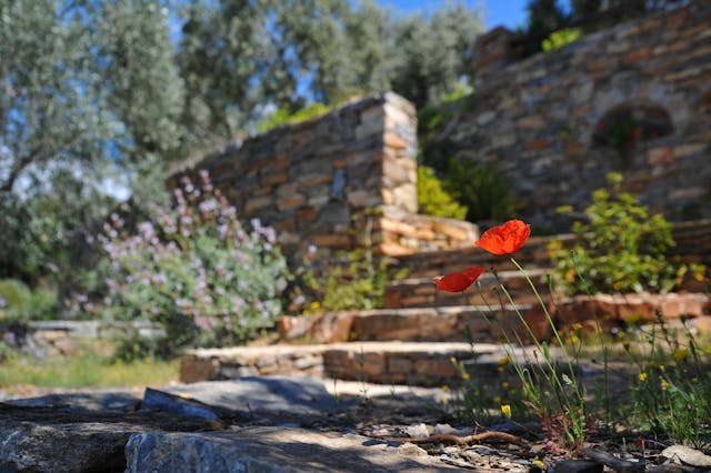 steps landscaping denver co